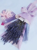 Lavender + Socola Valentine 3